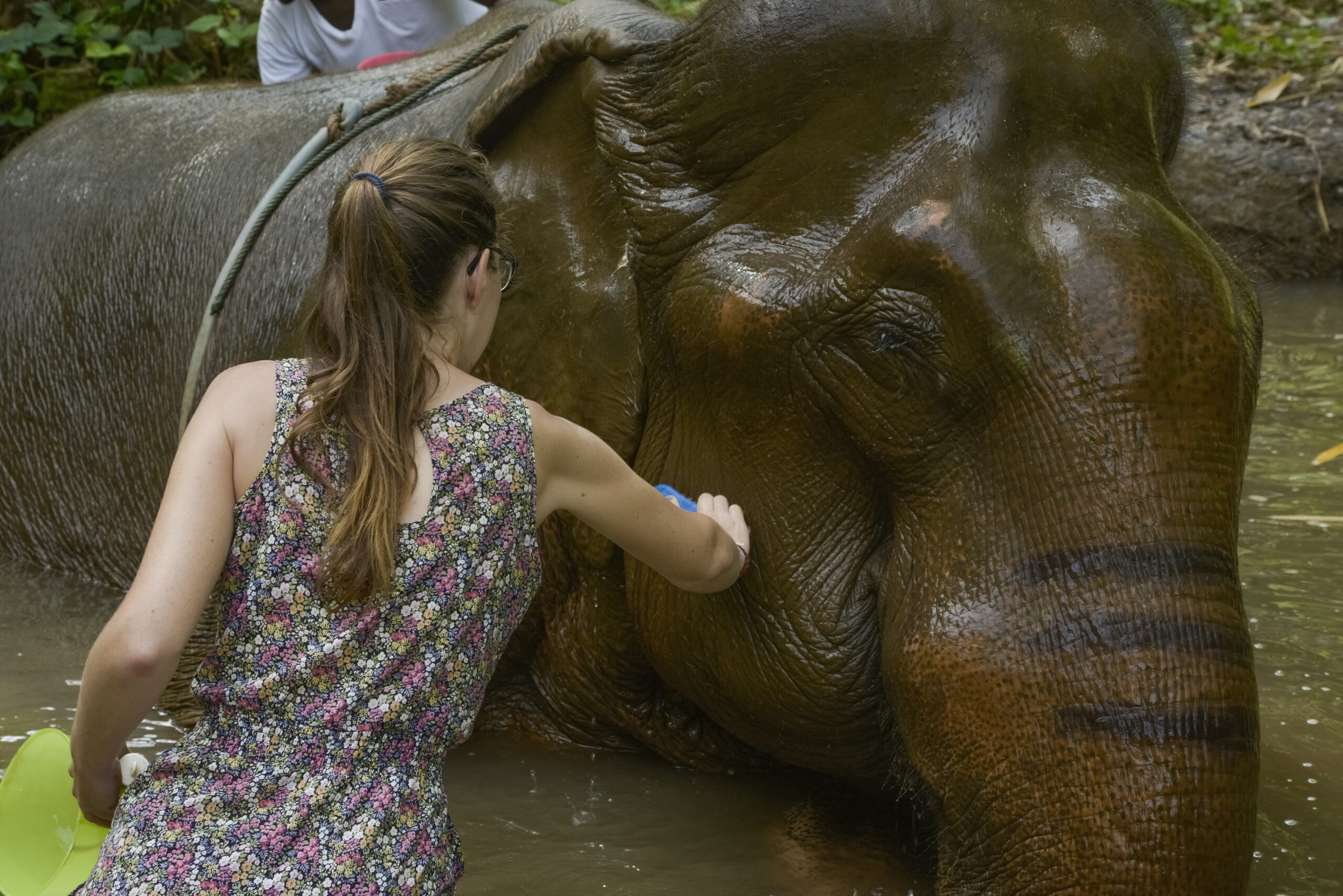 Explorando Tailandia – Tips para tus prácticas en el extranjero