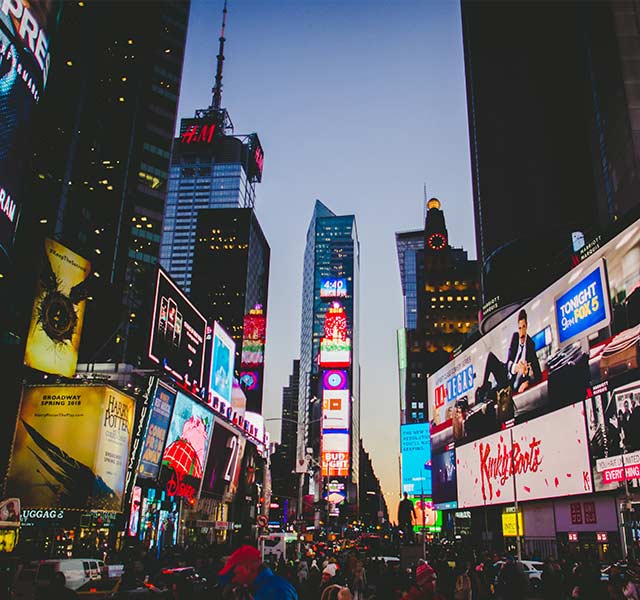 New York Professional Program